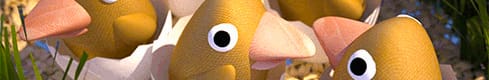 chicks_about