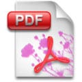pdficon