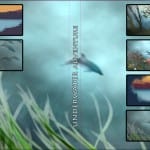 DVD_assets_cover