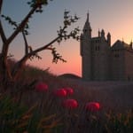 The Castle