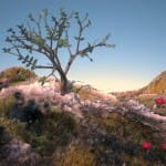 nature_3
