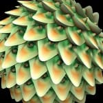 proc_plant1