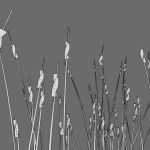 How One Easy Method Makes Amazing Line Art