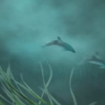 Underwater – An AE Motion Graphics Sample (2D)