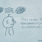 How To Reboot Your Brain (2D Video)