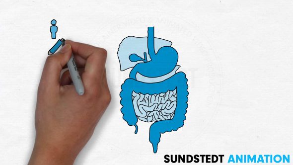 Whiteboard animation provider service for Pharma by Sundstedt Animation
