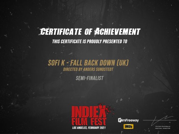 Award - IndieX - Fall Back Down - Anders Sundstedt - 2021