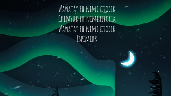 Star Sky and Moon Illustration by Anders Sundstedt - Sundstedt Animation